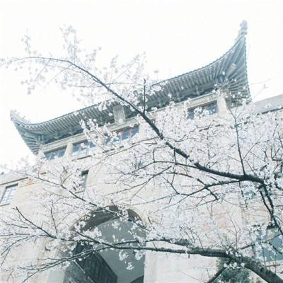 上海老人300万房产赠水果摊主案二审宣判：维持原判
