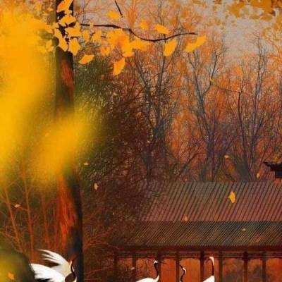 黑龙江省将举办第二届中俄地方文化艺术季