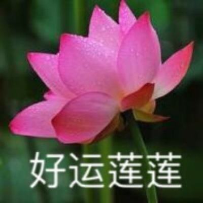 玩出“心”花样！北京化工大学举行“百花”心理游园会
